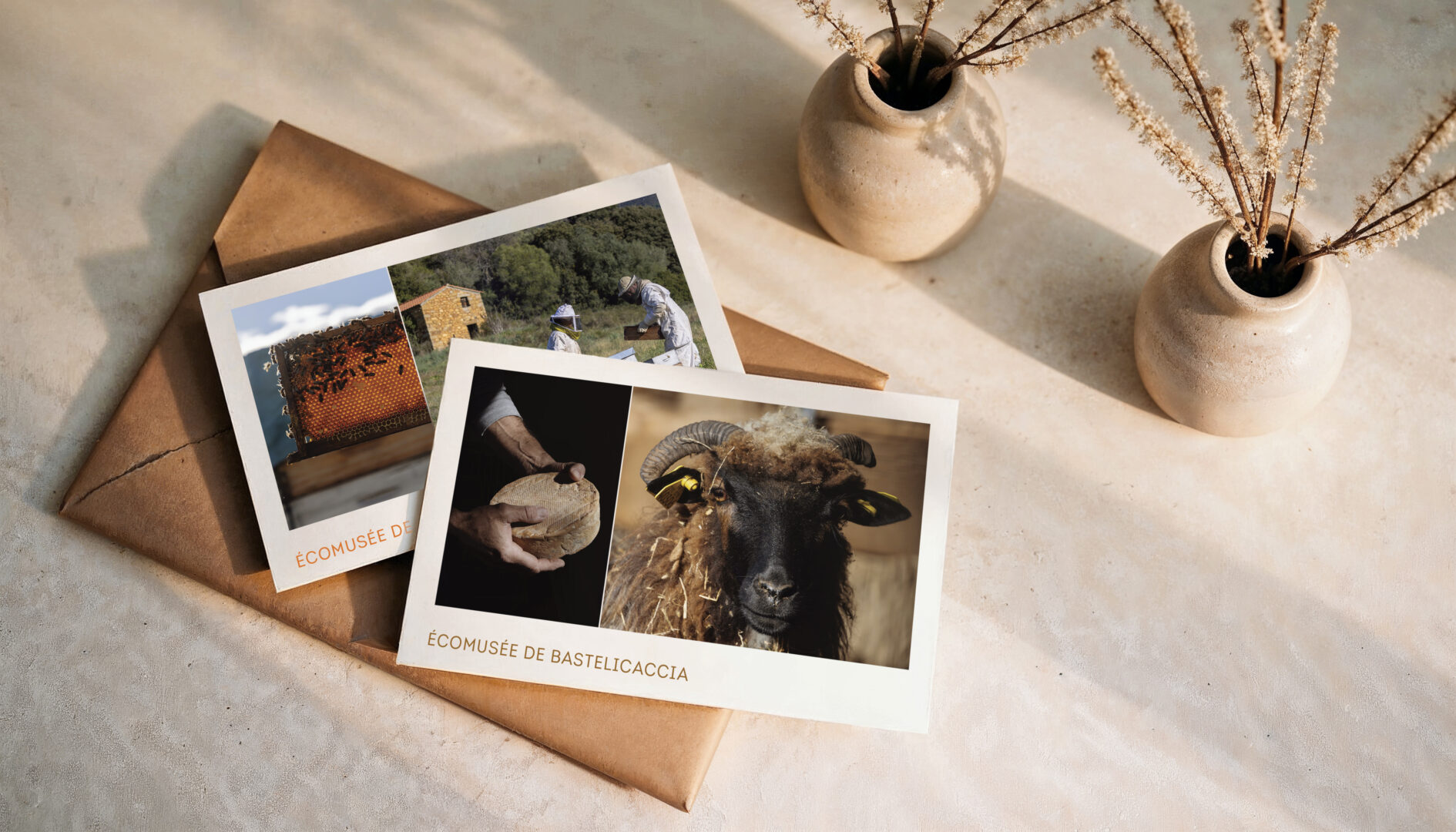 cartes_écomusée de bastelicaccia