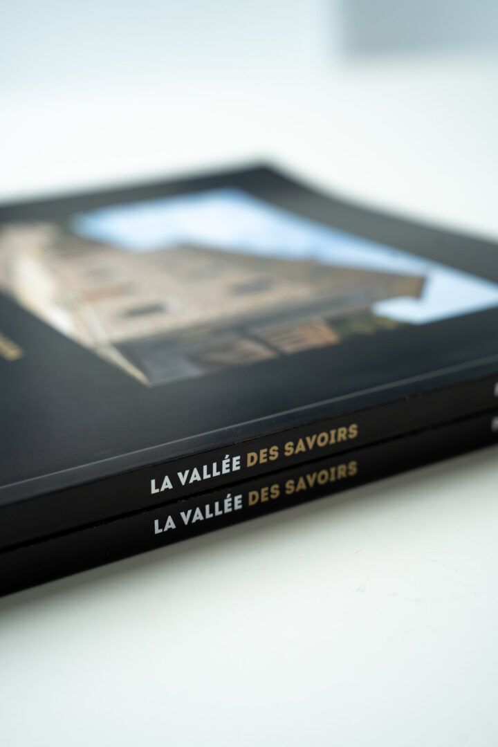 livre-écomusée-bastelicaccia-totem