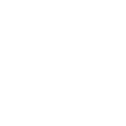 Logo NV groupe